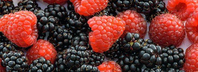 Frutas vermelhas bioflavonides ajudam na celulite